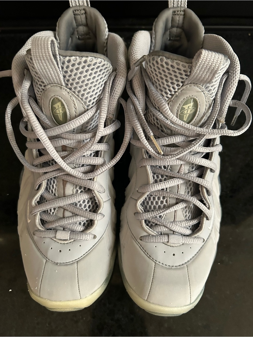 Nike Boys Gray Foamposite Sneakers